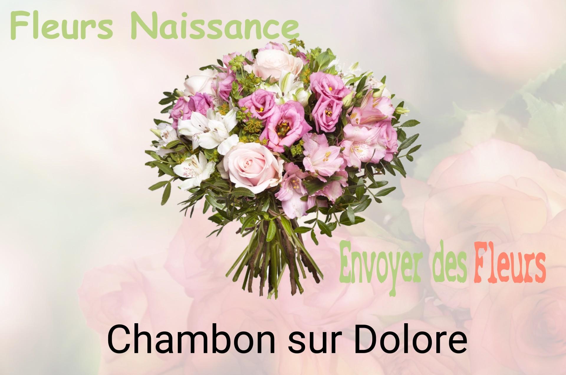 Bouquet de fleurs de naissance livré à Chambon-sur-Dolore