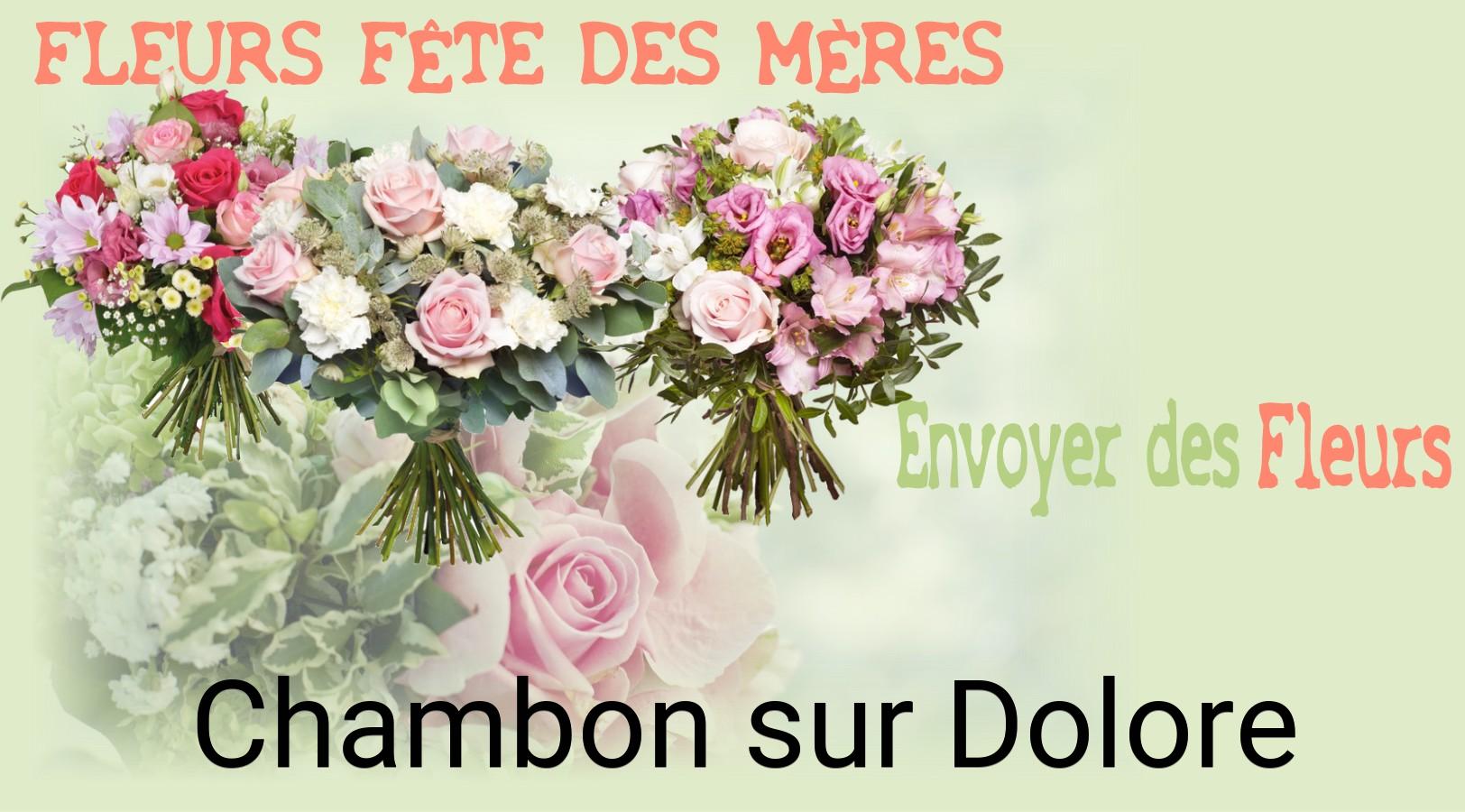 Bouquet de Fête des Mères livré à Chambon-sur-Dolore